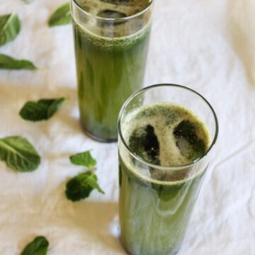 Mint Juice Recipe | Pudina sherbet | Indian style mint juice