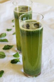 Mint Juice Recipe | Pudina sherbet | Indian style mint juice