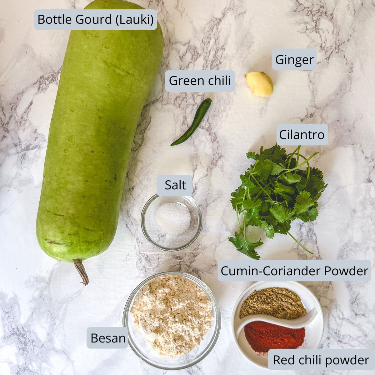 Lauki kofta ingredients with labels.