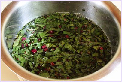 beet greens and stems in the water.