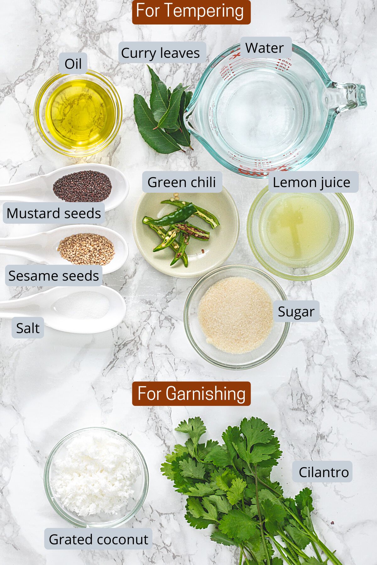 Nylon khaman tempering and garnishing ingredients in bowls and spoons with labels.