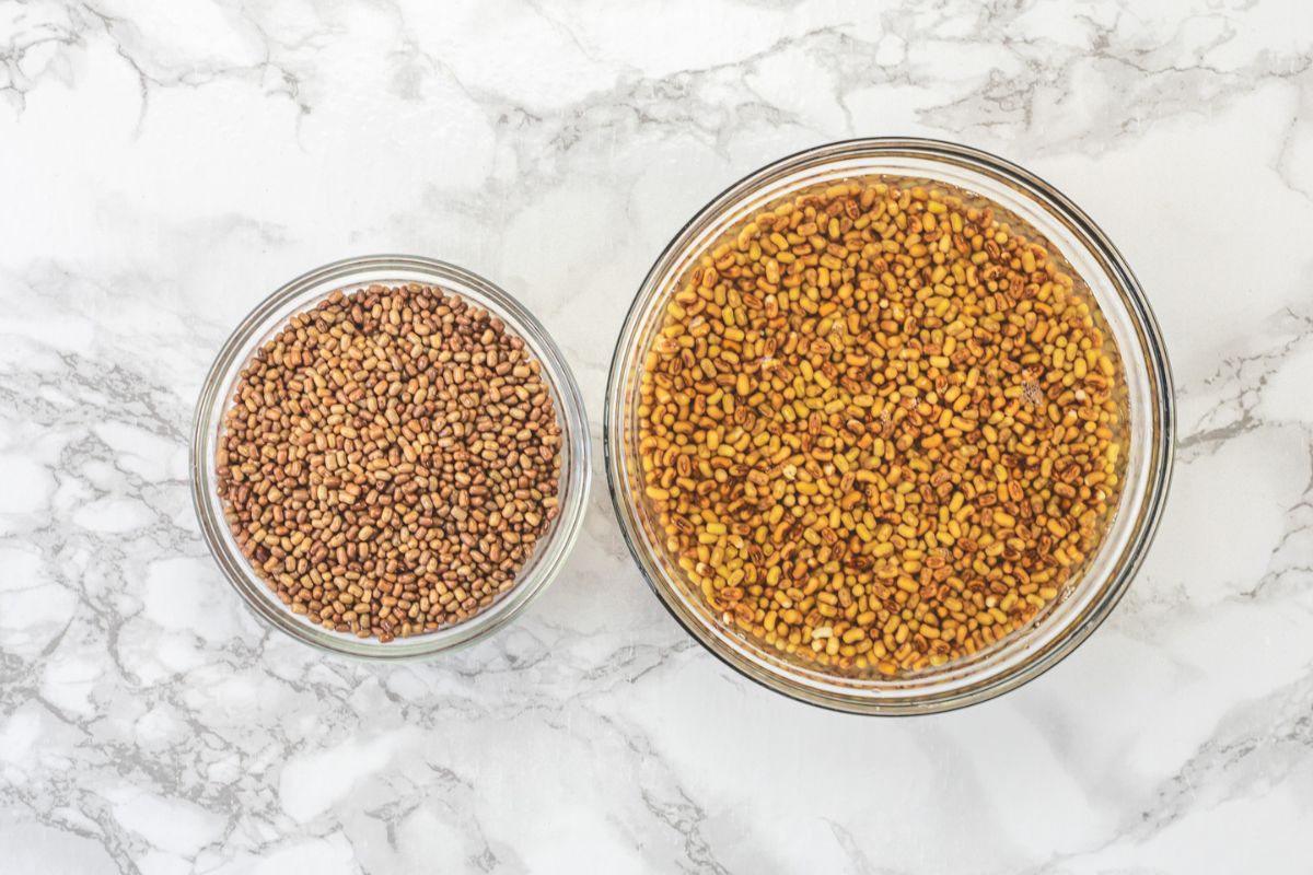 1 bowl of dry moth beans and another bowl of soaked beans.