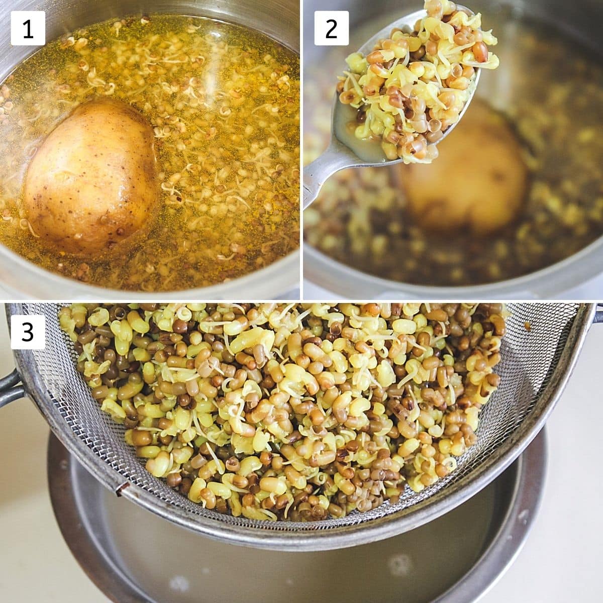 Collage of 3 images showing sprouted matki and potato in a pressure cooker, cooked sprouts.
