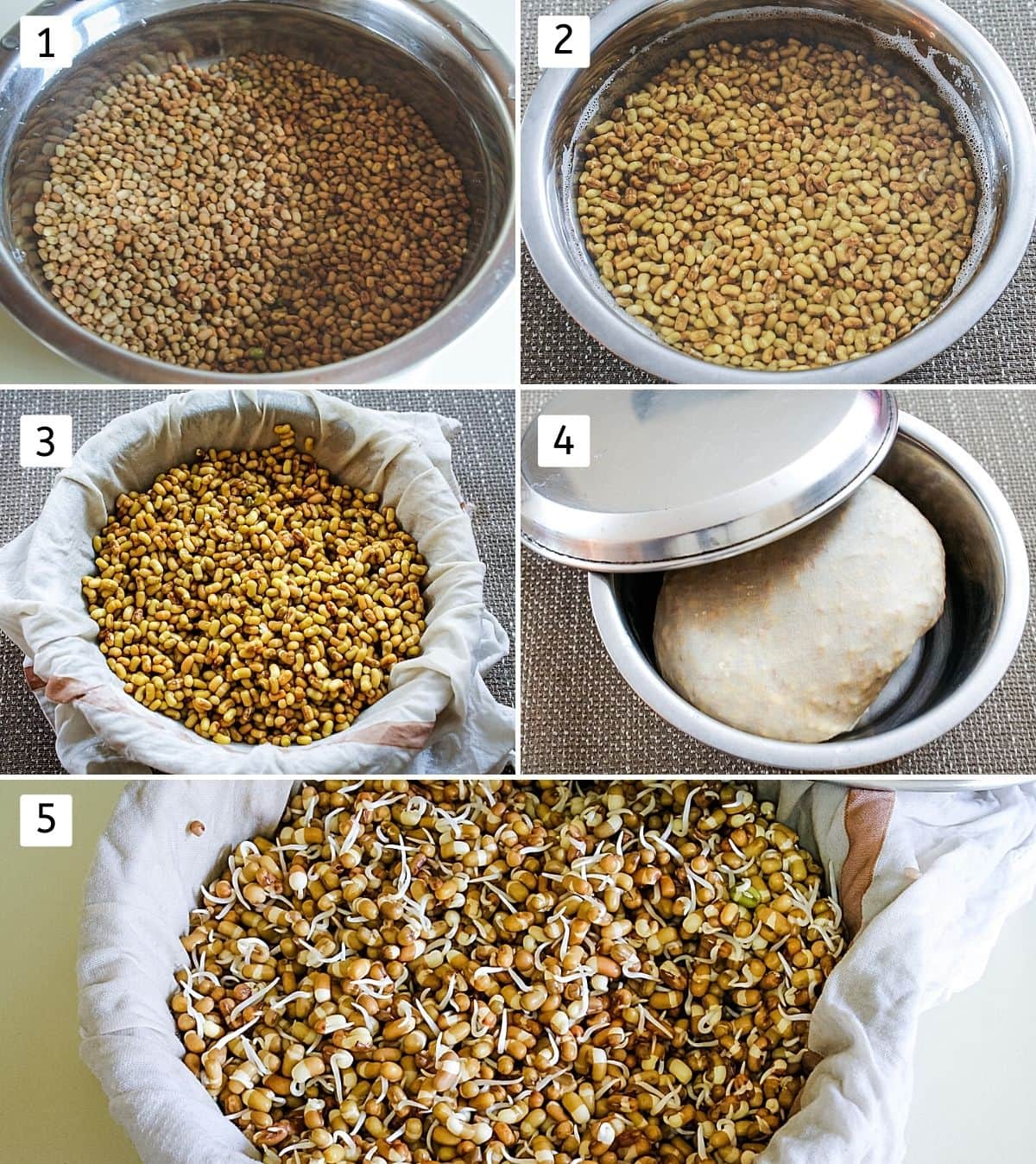 Collage of 5 images showing soaked matki, adding into damp cloth and sprouted matki.