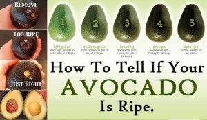 Avocado dip recipe Indian style (How to make Indian avocado dip recipe)
