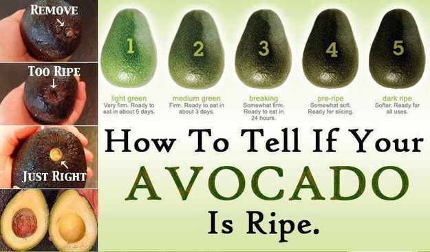avocado-ripeness