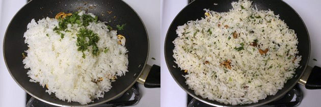 Combine the rice and jeera rice tempering