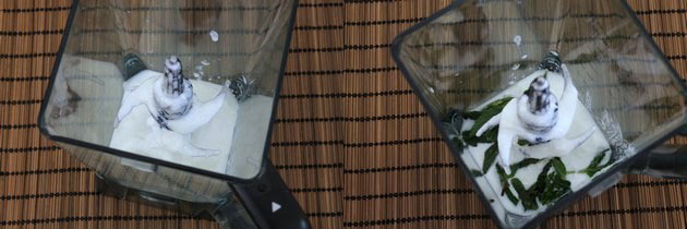 Pudina chaas recipe | Mint chaas recipe | How to make chaas