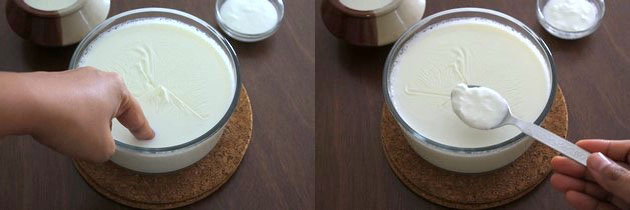 Collage of 2 images showing adding starter yogurt in a lukewarm milk