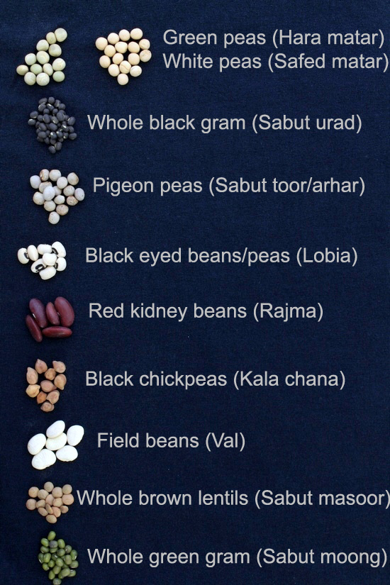 List of Lentils, Legumes or pulses in English, Hindi and other languages