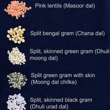 List of Lentils, Legumes or pulses in English, Hindi and other languages