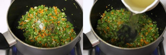 Collage of 2 images showing adding salt, pepper and vegetable broth.