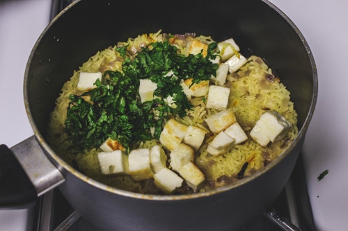 adding paneer, mint and cilantro