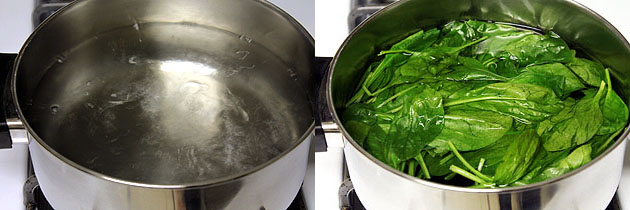 Collage of 2 images showing boiling water and adding spinach.