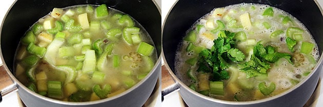 Celery soup recipe (How to make celery and potato soup recipe)