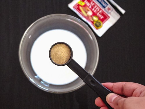 adding yeast to warm milk