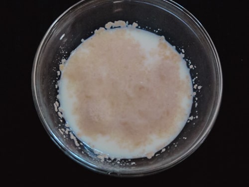 frothy yeast mixture
