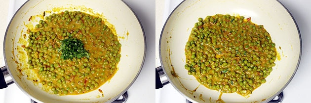 garnished with chopped cilantro