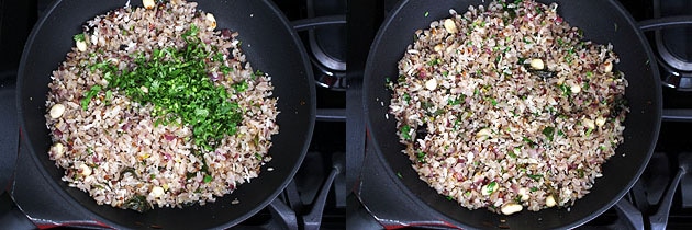 Collage of 2 images showing adding cilantro and mixed.