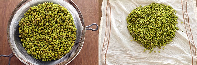 Collage of 2 images showing drained excess water and taking beans in a damp napkin.