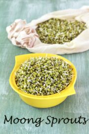 How to Sprout Mung Beans (Healthy, Homemade moong sprouts)