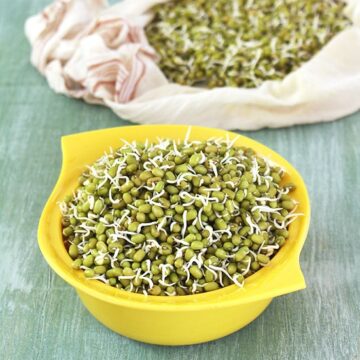 How to Sprout Mung Beans (Healthy, Homemade moong sprouts)