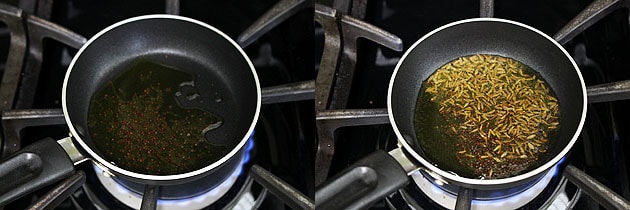 Peanut Chutney Recipe (How to make Groundnut Chutney Recipe)