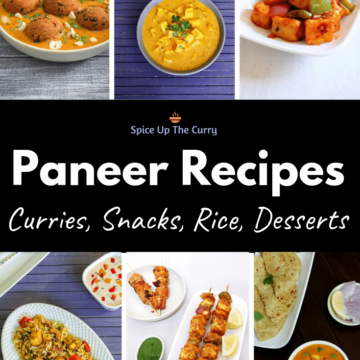 Paneer Recipes (40 Easy and Quick Indian Paneer Recipes)