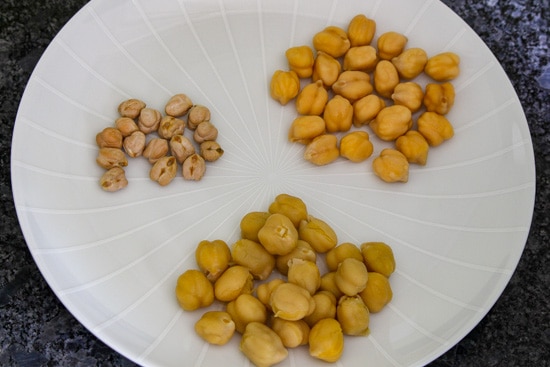 dry chickpeas, soaked chickpeas, instant pot cooked chickpeas