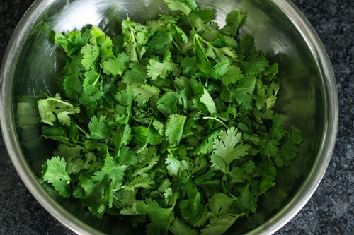 cilantro leaves in a bowl