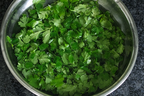 cilantro leaves are dunked in a bowl of water