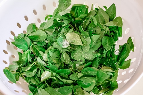 Sprinkle salt over methi leaves