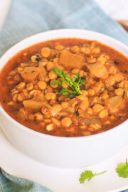 close up of lauki chana dal in a bowl with garnish of cilantro leaves