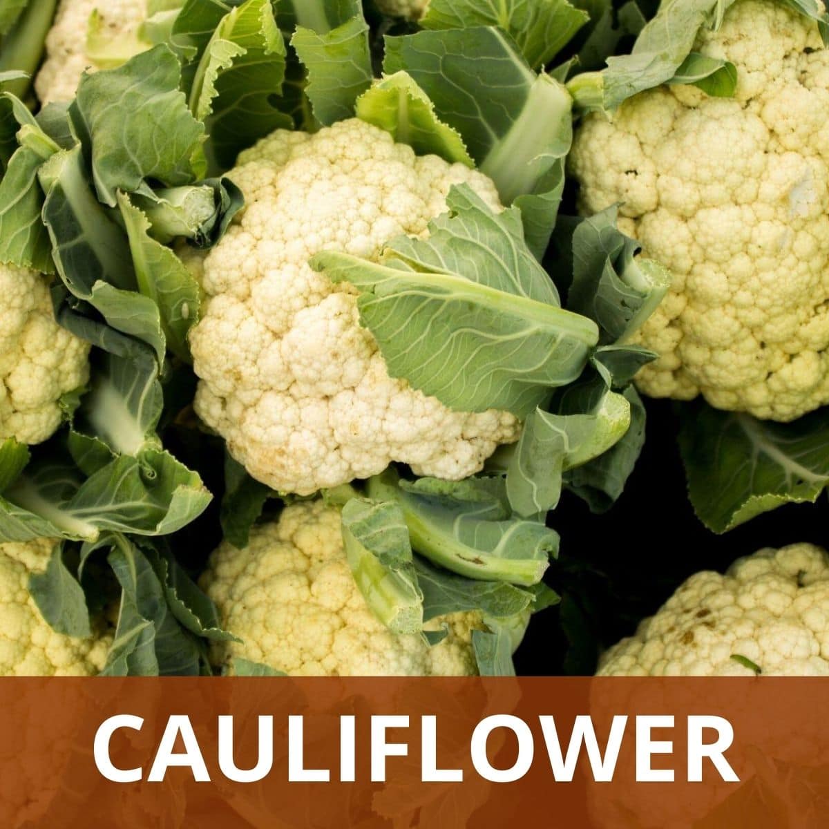 Cauliflower