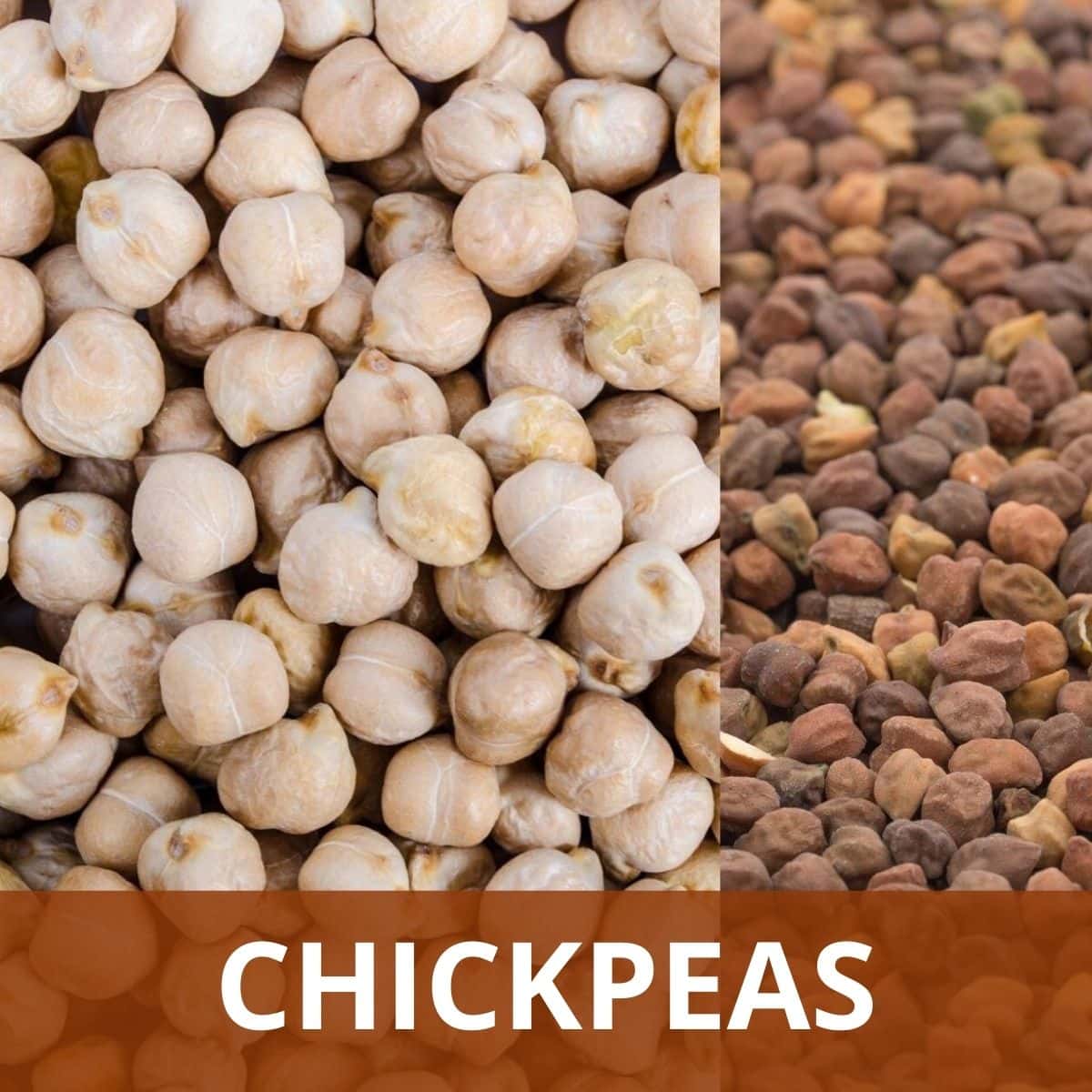 Chickpeas