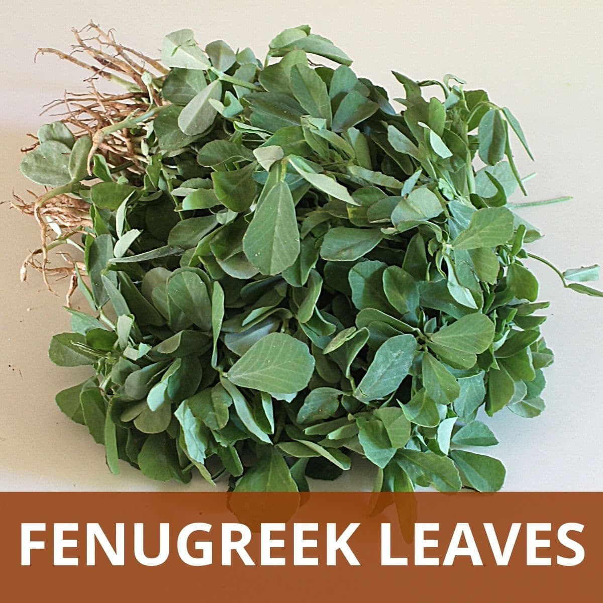 Fenugreek Leaves
