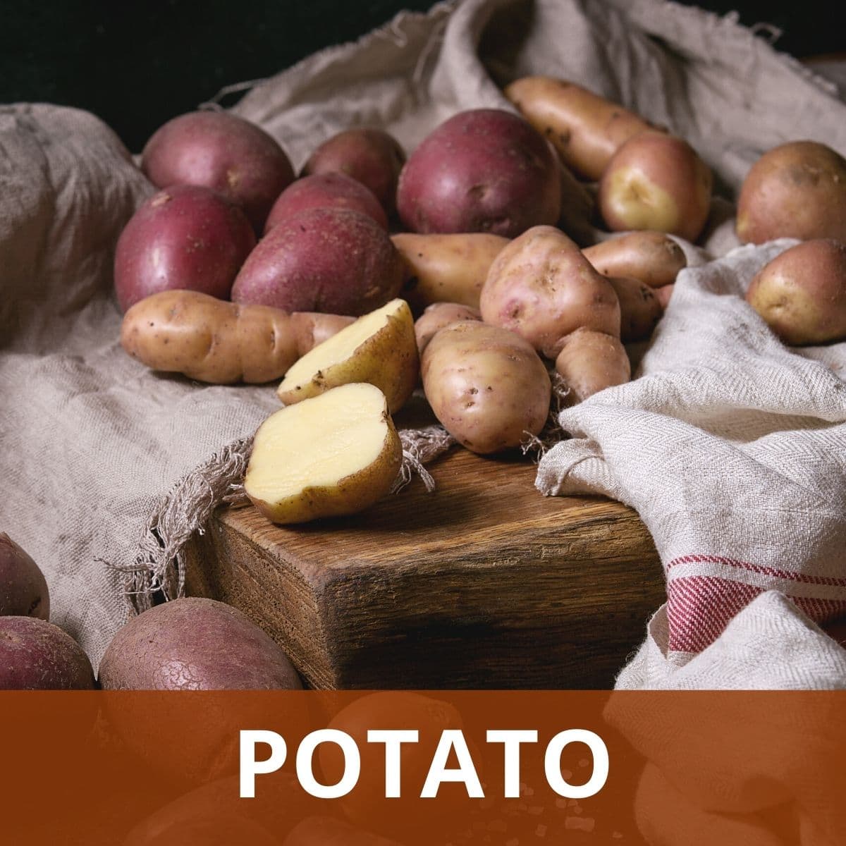 Potato