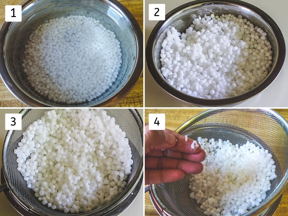 collage of 4 steps showing sabudana soaked in water, puffed up, draining in the colander, mashing between finger and thumb