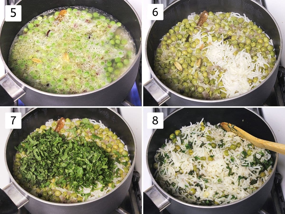 Collage of 4 steps showing adding water, cooked pulao, adding herbs and mixed.
