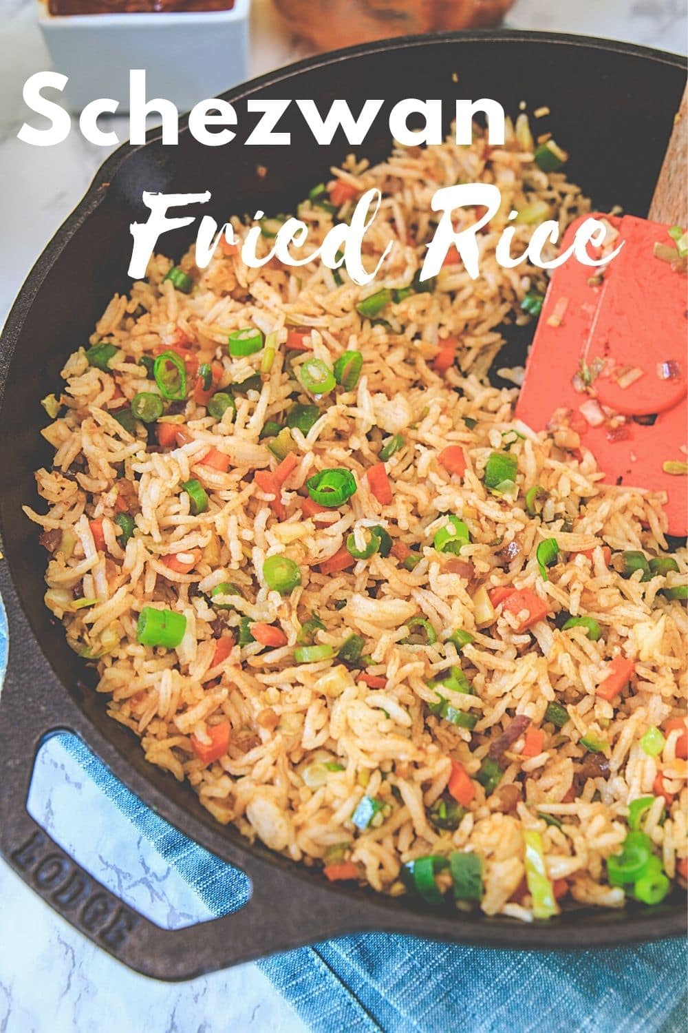 schezwan fried rice pin