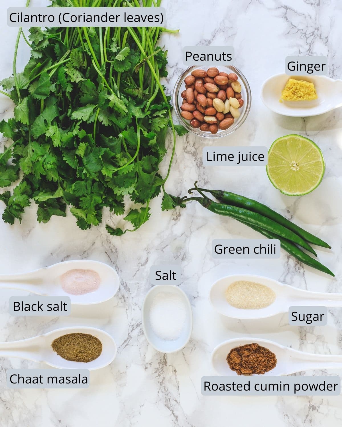 Ingredients used in making cilantro chutney on the marble surface.