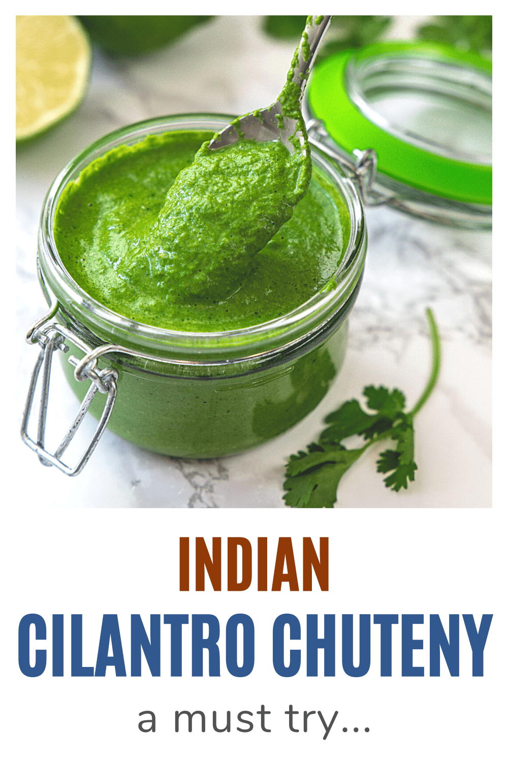 Cilantro chutney pin