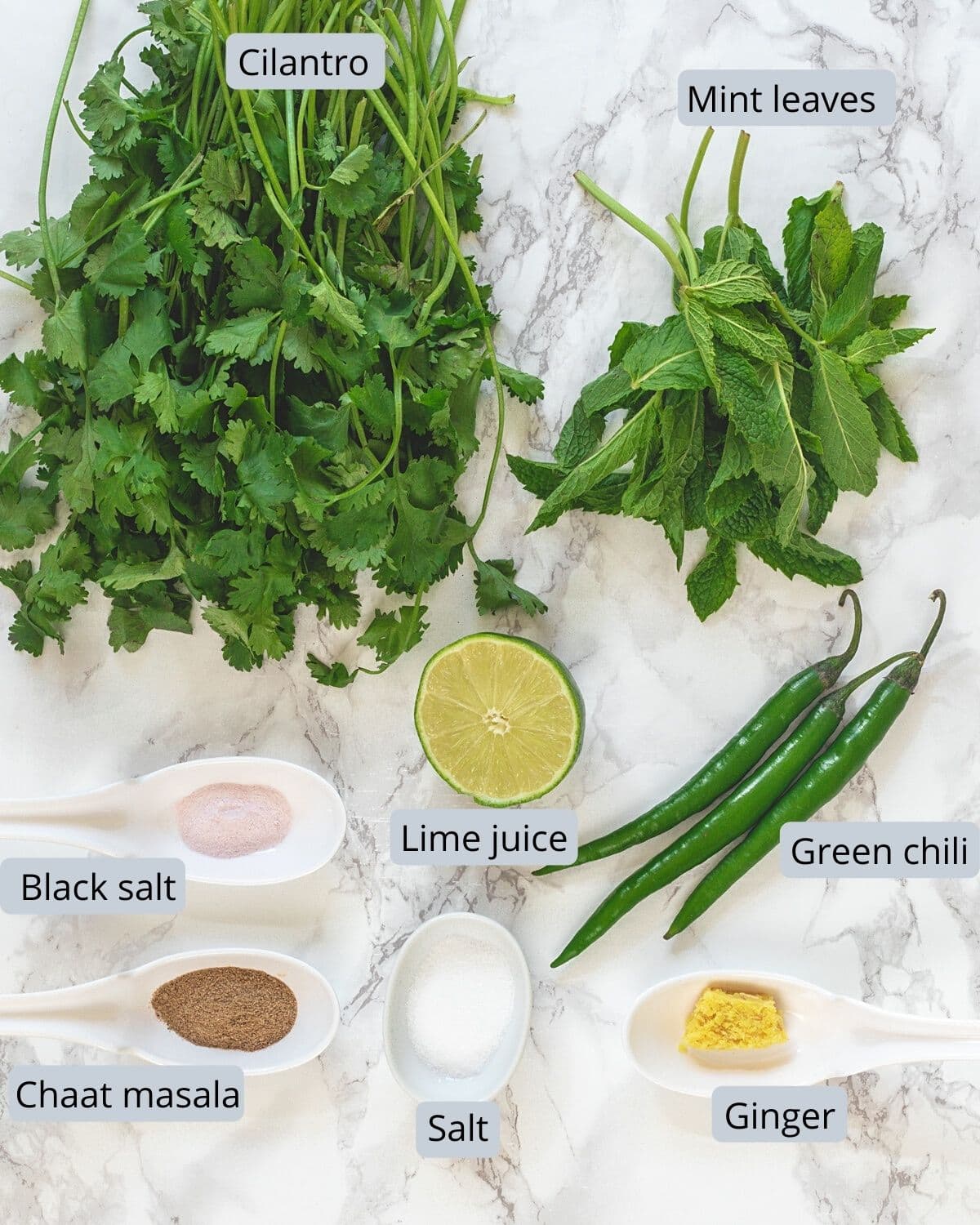 Green chutney ingredients with labels on marble surface.