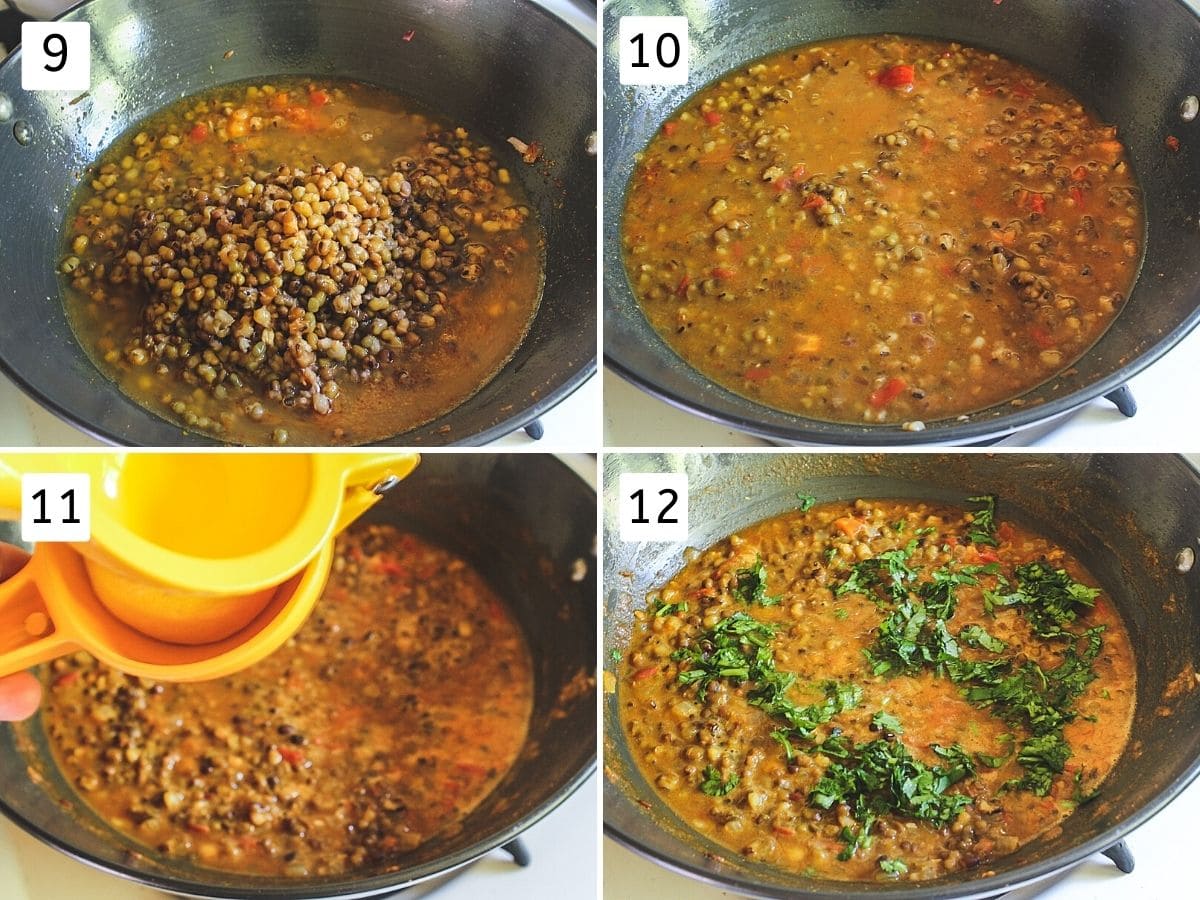 Collage of 4 images showing adding boiled moong beans, simmering, add lemon juice and cilantro.