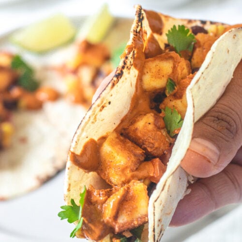 One paneer taco holding in the hand.