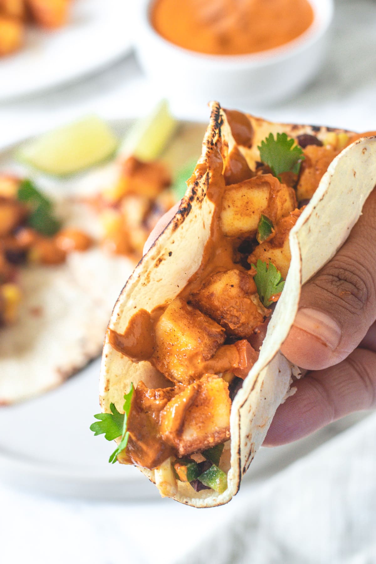 One paneer taco holding in the hand.