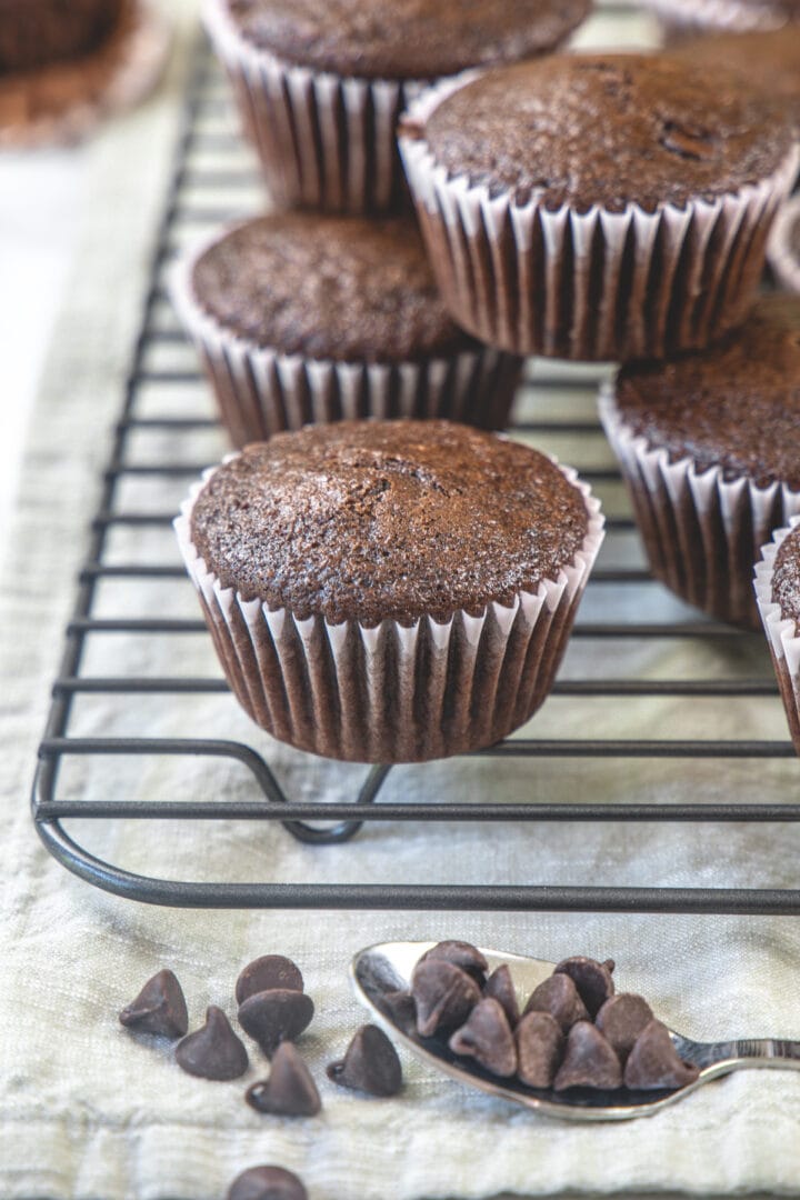 Eggless Chocolate Muffins Spice Up The Curry