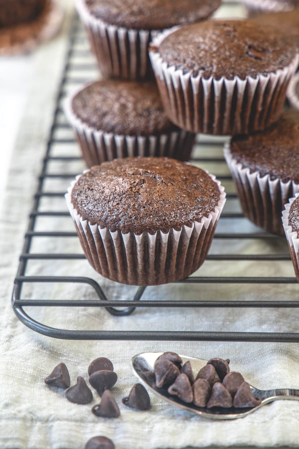 Eggless Chocolate Muffins - Spice Up The Curry