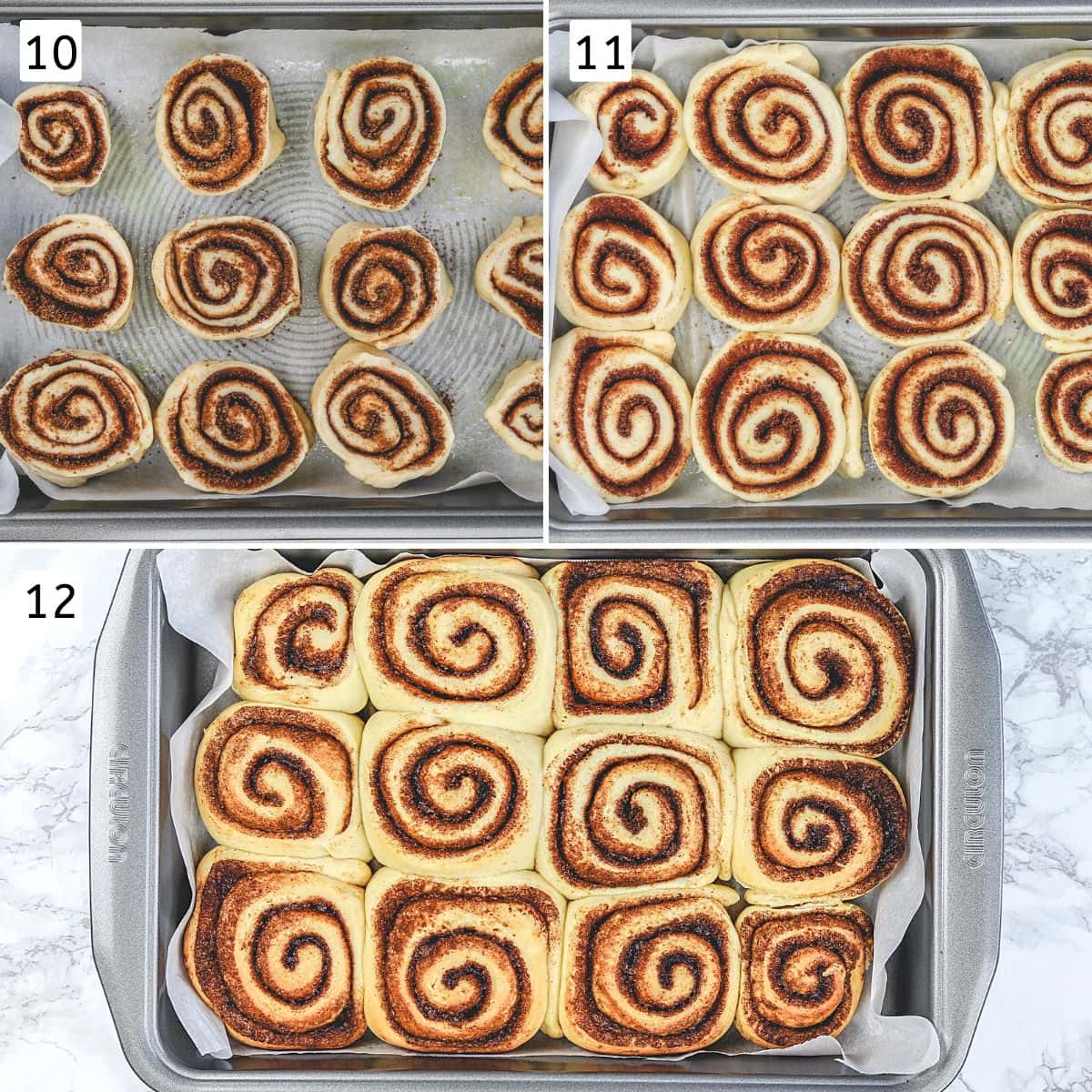 Collage of 3 steps showing rolls in a baking tray, 2 rise of the rolls and baked rolls.
