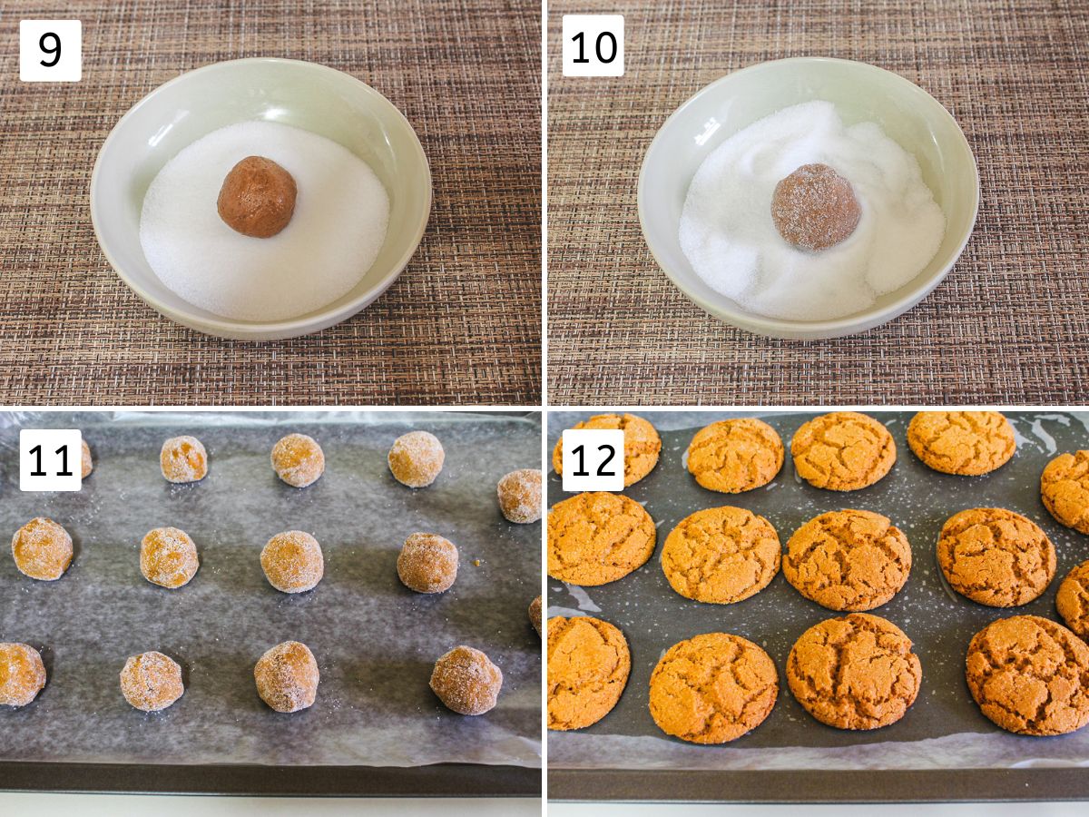 Collage of 4 images showing rolling cookie ball in sugar, arranging on a tray and baked cookies.